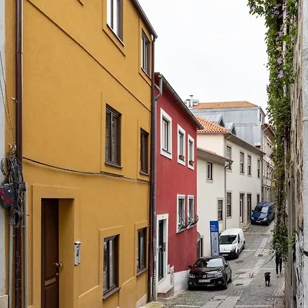 Joivy Vitoria Near The Cathedral